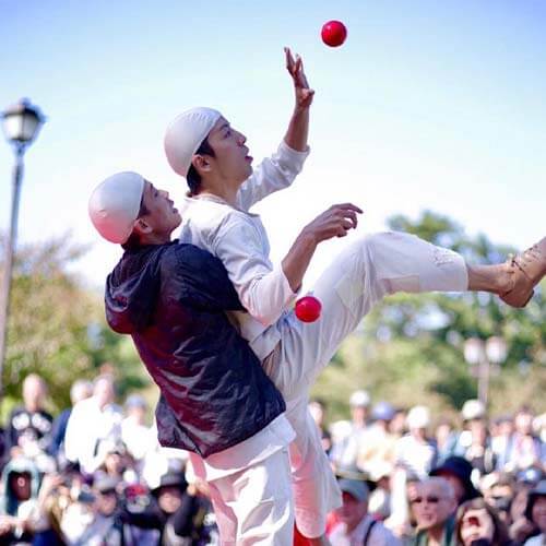 ホワイトアスパラガス写真