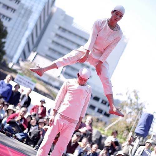 ホワイトアスパラガス写真